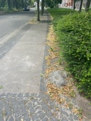 Foto: Straßenreinigung 